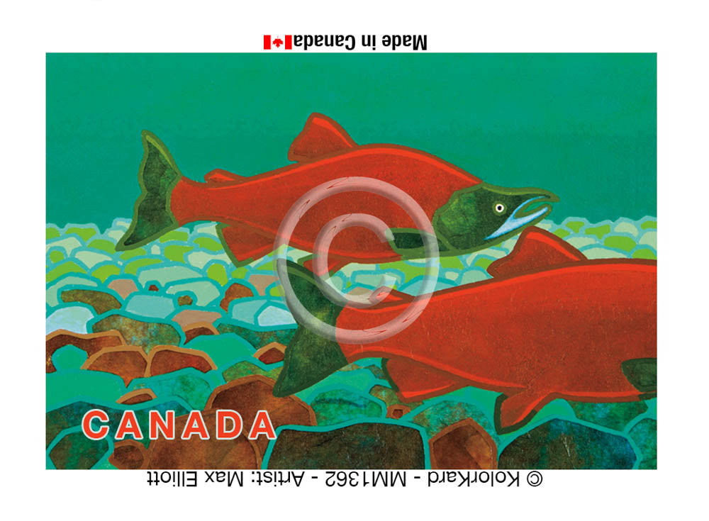 Salmon Max Elliott Metal Magnet