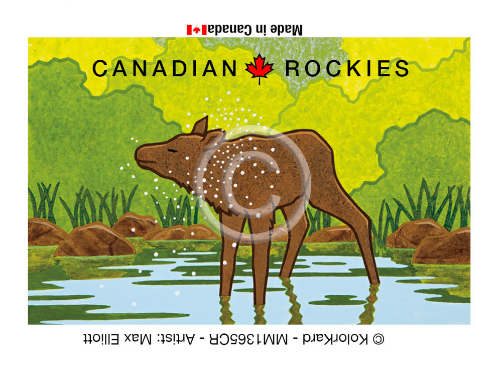 Baby Moose Canadian Rockies Max Elliott Metal Magnet