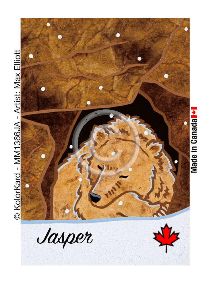 Sleeping Grizzly Jasper Max Elliott Metal Magnet