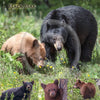 Black Bear Cub Luncheon Napkin