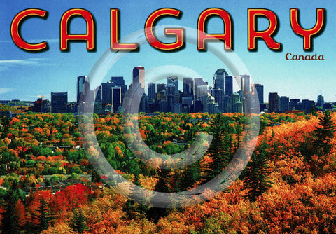 Calgary in Fall 5x7 Card