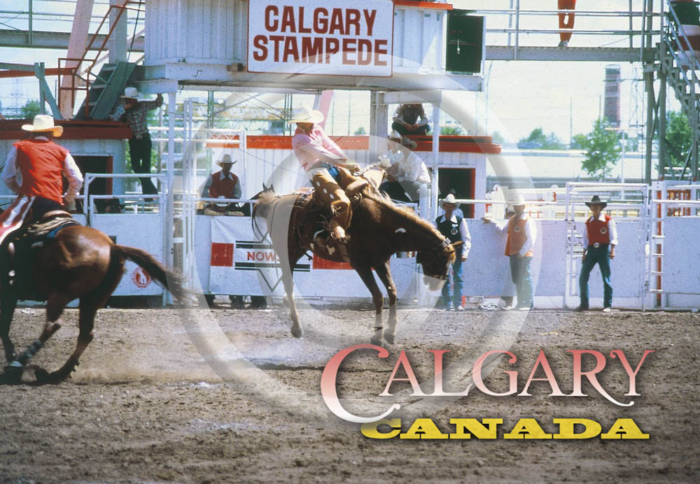 Calgary Rodeo 5x7 Card