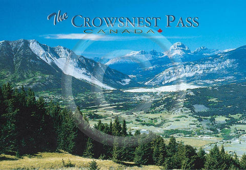 Crowsnest Pass 4x6 Card