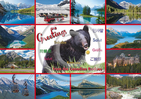 Rockies Multi Greetings 5x7 Card