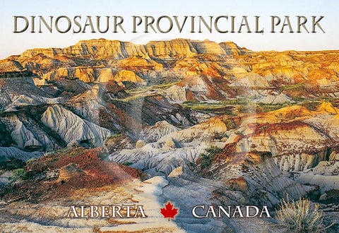 DPP Dinosaur Provincial Park Metal Magnet