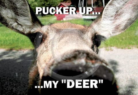 Pucker Up Deer 4x6 Card